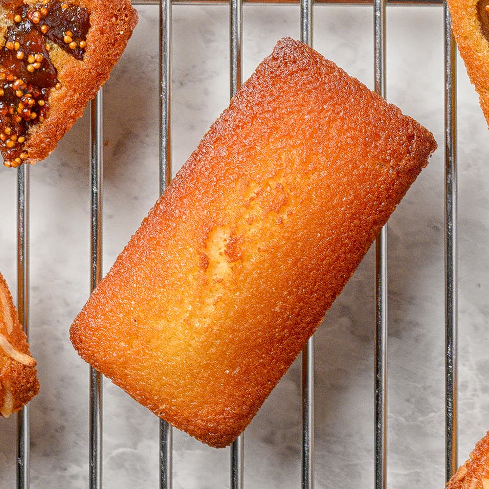 Plain Financier